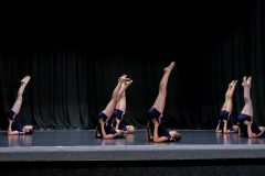 IMG_6454-scaled