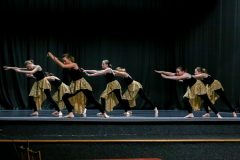 IMG_6519-scaled