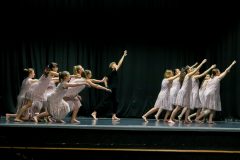 IMG_6527-scaled