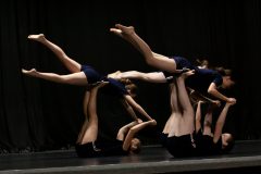 IMG_8065-scaled