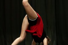 IMG_8077-scaled