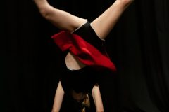 IMG_8079-scaled