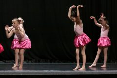 IMG_8124-scaled