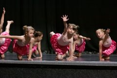 IMG_8134-scaled