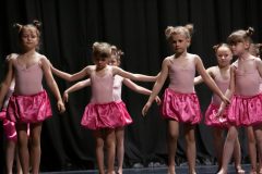 IMG_8137-scaled