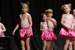 IMG_8138-scaled