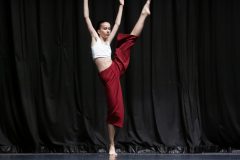 IMG_8151-scaled