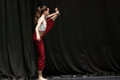 IMG_8162-scaled