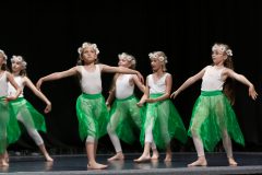 IMG_8165-scaled
