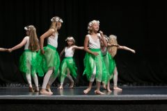 IMG_8172-scaled