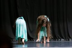 IMG_8260-scaled