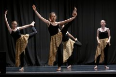 IMG_8387-scaled