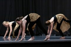 IMG_8392-scaled