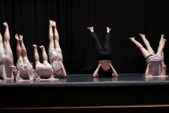 IMG_8420-scaled
