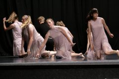 IMG_8427-scaled