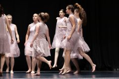IMG_8428-scaled
