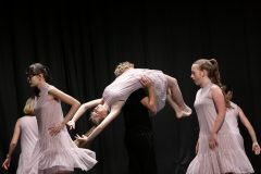 IMG_8441-scaled