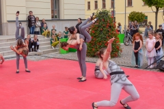 IMG_2964