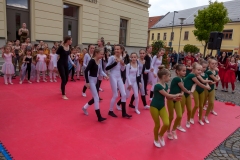 IMG_3078