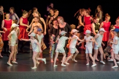IMG_7953 IMG_7953