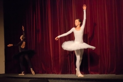 IMG_3477 IMG_3477