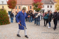 IMG_8328 IMG_8328