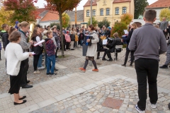 IMG_8350 IMG_8350